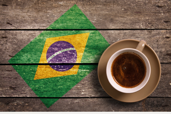Brazilian Coffee: A Journey Through Regional Flavors